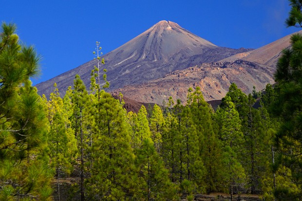 Canary Islands